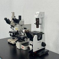 Lot Of Inverted Microscopes image 1